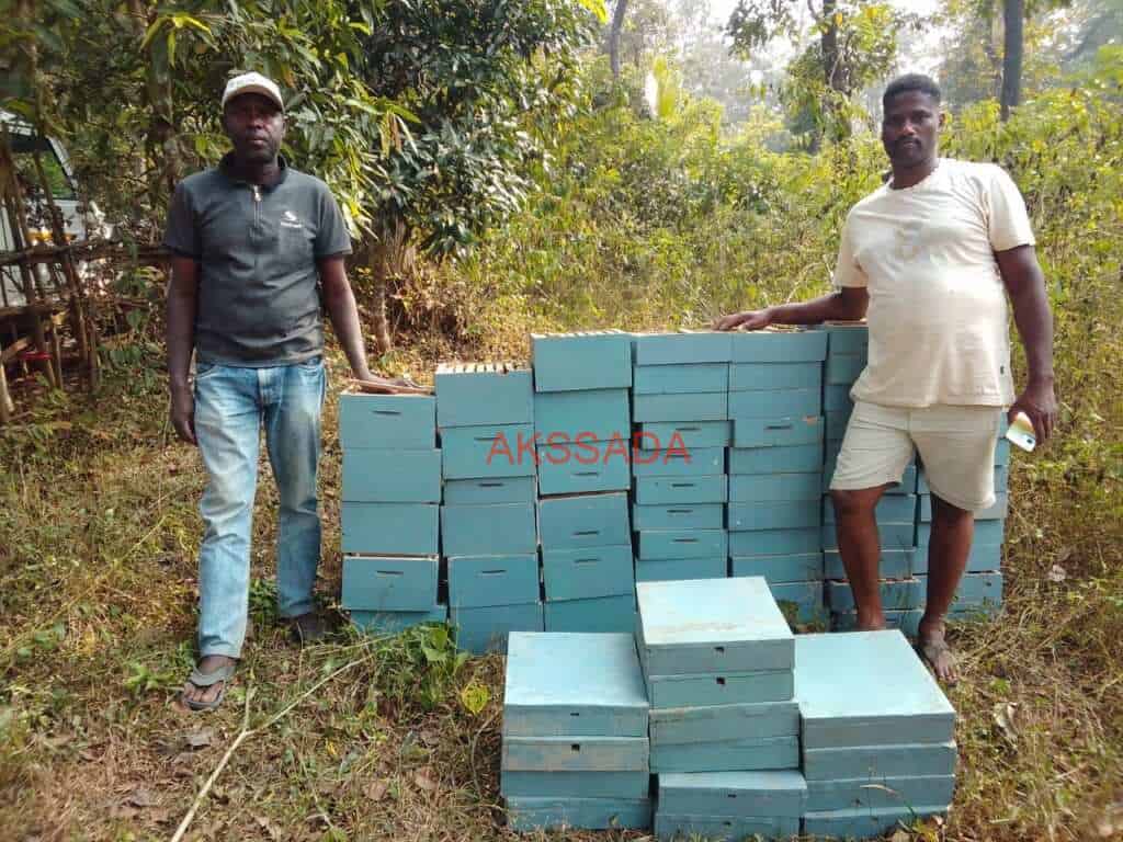 bee keeping