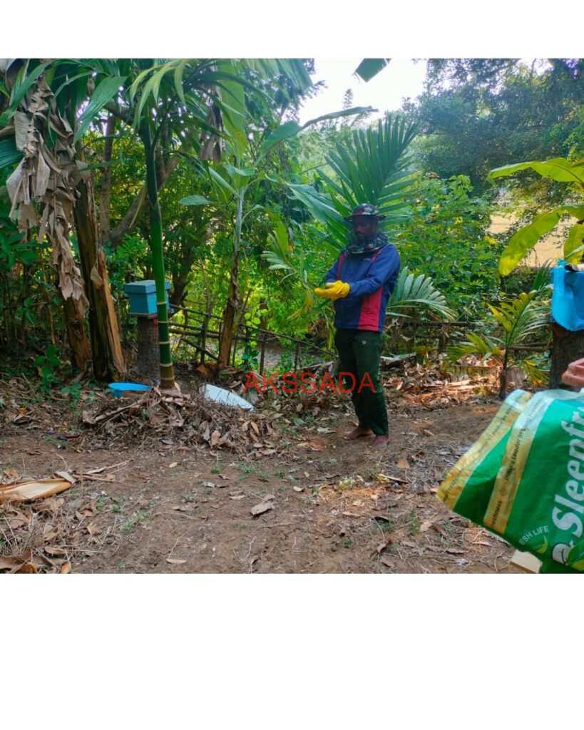 (Ravi's First Honey Harvest)
