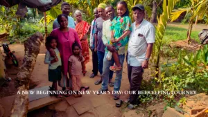 A New Beginning on New Year’s Day: Our Beekeeping Journey
