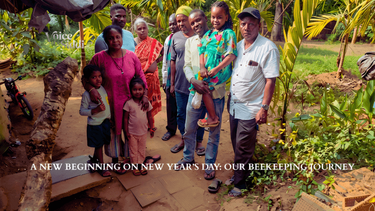 A New Beginning on New Year’s Day: Our Beekeeping Journey