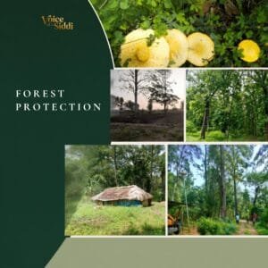 forest protection